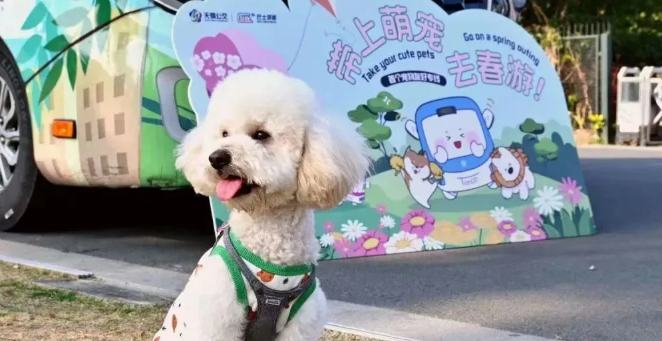 江苏的一座城,宠物经济爆发,产业规模向30亿迈进 江苏的一座城,宠物经济爆发,产业规模向30亿迈进