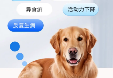 宠物保健品爆发！植物提取三大机会别错过