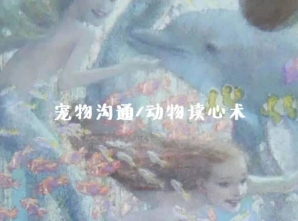 宠物沟通师到底是不是智商税？