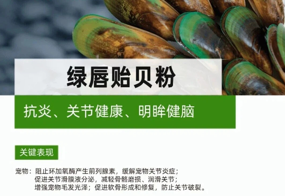 宠物关节养护吃什么好？宝乐康以科学配方解锁绿唇贻贝的协同力量