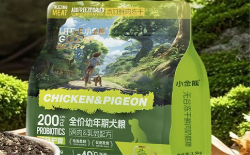 小金熊