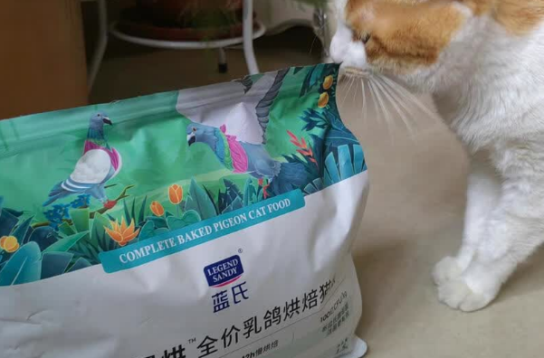 猫粮什么牌子最好用最安全?蓝氏猎鸟乳鸽猫粮,高肉含量,放心选 猫粮什么牌子最好用最安全?蓝氏猎鸟乳鸽猫粮,高肉含量,放心选