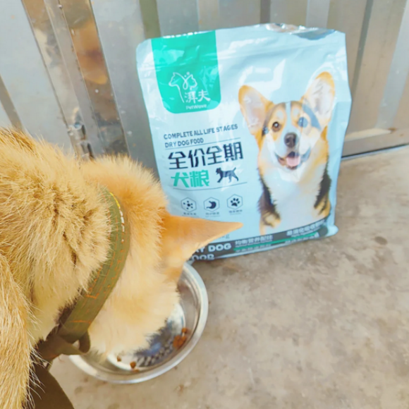 哪些狗粮比较好?湃夫用 哪些狗粮比较好?湃夫用