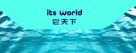 它天下是什么牌子 它天下是什么牌子