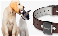 MAKE1宠物定位项圈准确吗