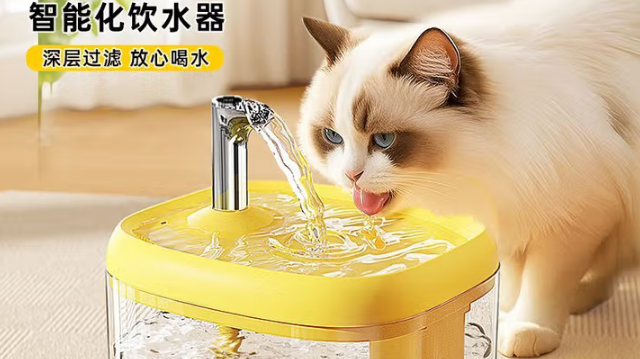 宠物饮水机品牌哪个好:OYKTN让爱宠饮水更健康更安心 宠物饮水机品牌哪个好:OYKTN让爱宠饮水更健康更安心