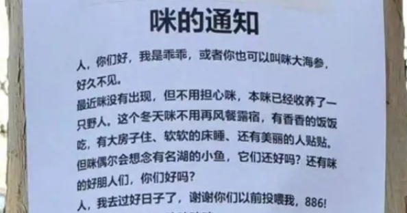 收到来自“咪的通知”:本猫已被收养,再也不用来图书馆打工了! 收到来自“咪的通知”:本猫已被收养,再也不用来图书馆打工了!