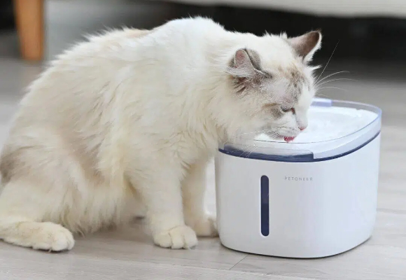 猫咪爱喝马桶水怎么办?用PETONEER智能饮水机让它彻底告别“重口味” 猫咪爱喝马桶水怎么办?用PETONEER智能饮水机让它彻底告别“重口味”