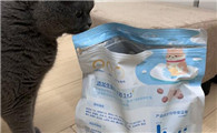 2025猫粮哪些好？低温烘焙的乐顿猫粮，更有营养！