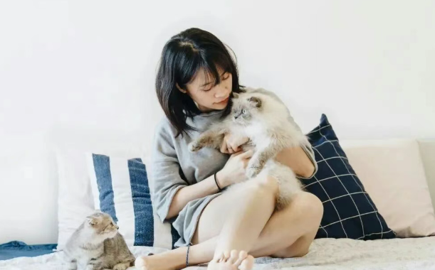 4个案例，看宠物经济的下半场
