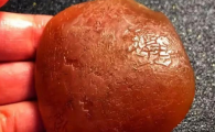 人工养殖的青鱼有青鱼石吗?