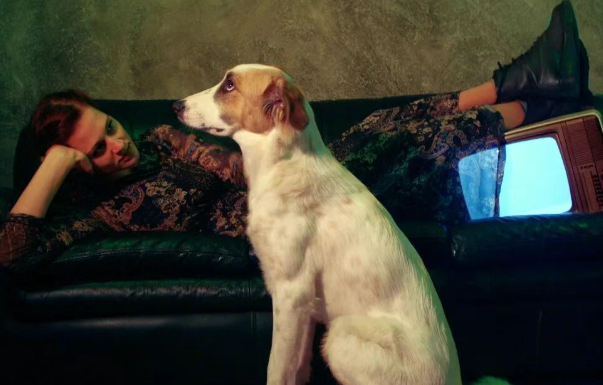 宠物用品奢侈化?爱马仕上新18300元狗碗 宠物用品奢侈化?爱马仕上新18300元狗碗