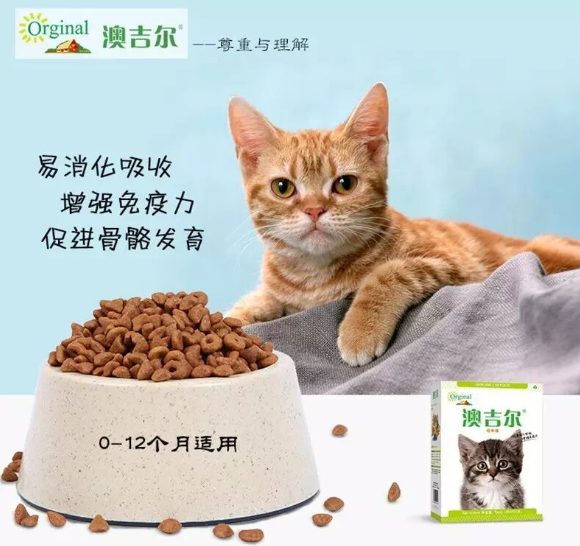 幼猫第一口粮选哪个品牌?澳吉尔orginal专注幼猫营养补充! 幼猫第一口粮选哪个品牌?澳吉尔orginal专注幼猫营养补充!