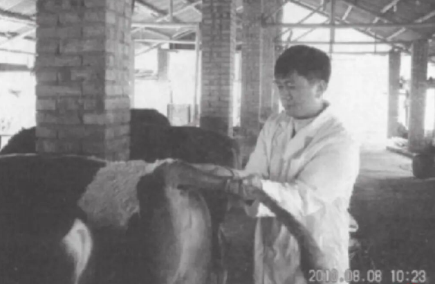 宠物也能做针灸了:全国2000家宠物医院已标配中兽医,“曾让全身瘫痪柯基重新奔跑” 宠物也能做针灸了:全国2000家宠物医院已标配中兽医,“曾让全身瘫痪柯基重新奔跑”