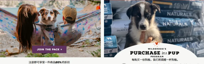 一款犬用户外装备卖爆北美,宠物赛道又跑出超级黑马 一款犬用户外装备卖爆北美,宠物赛道又跑出超级黑马