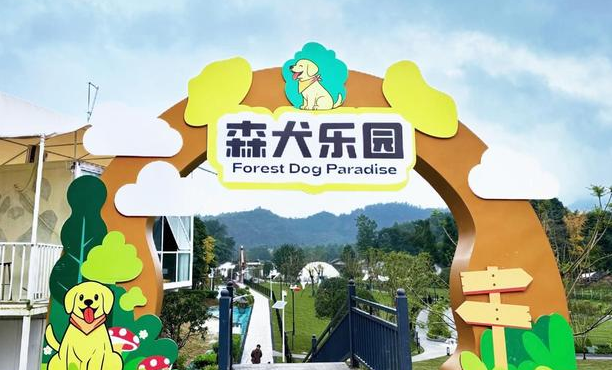 在这里“狗狗”是主角 成都邛崃这处上万平米森犬乐园来啦