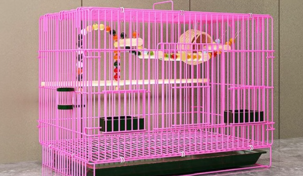 鸟笼品牌排行:“糜鸿宠物”鸟界大别墅 鸟笼品牌排行:“糜鸿宠物”鸟界大别墅