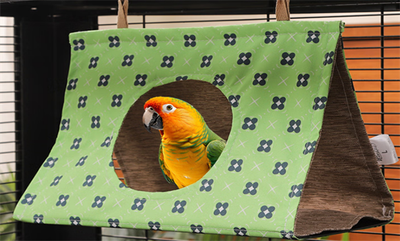 杜老汉鹦鹉窝透气吗