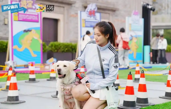 苏河湾犬运会开幕,解锁“体育+潮流+萌宠”跨界新体验 苏河湾犬运会开幕,解锁“体育+潮流+萌宠”跨界新体验