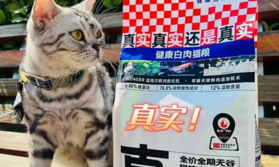 现在什么猫粮适口性好?谢同学健康白肉猫粮值得一试 现在什么猫粮适口性好?谢同学健康白肉猫粮值得一试