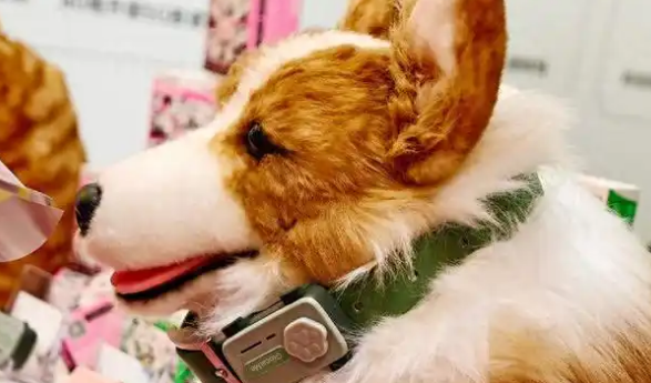 宠物智能手机PetPhone:揭秘千亿宠物科技市场的下一个风口 宠物智能手机PetPhone:揭秘千亿宠物科技市场的下一个风口