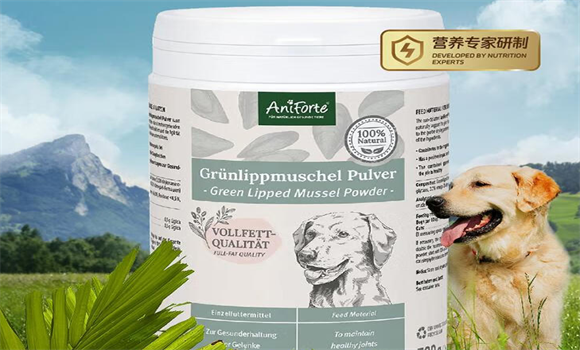 Aniforte绿唇贻贝粉，何以守护宠物关节健康与心脑活力？
