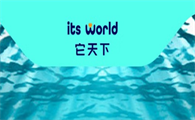 它天下是什么牌子