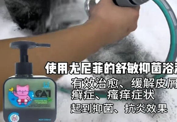 猫咪肌肤敏感怎么洗护？尤尼菲unifere用天然成分铸就安心防线