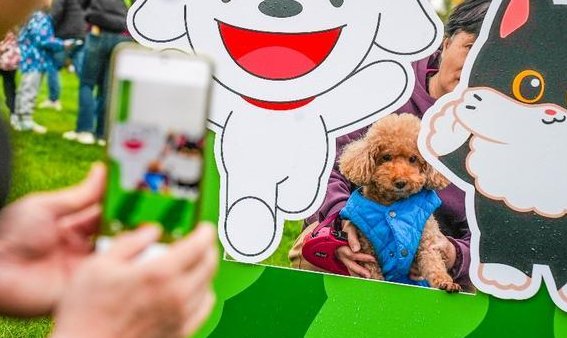 北京大兴庞各庄“西瓜小镇”主打“快乐休闲”,2025花宠季描绘产业融合新图景 北京大兴庞各庄“西瓜小镇”主打“快乐休闲”,2025花宠季描绘产业融合新图景