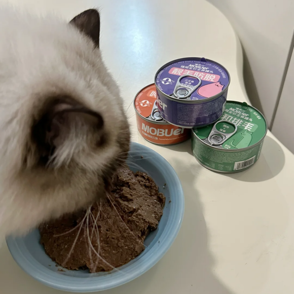 猫咪主食怎么选？从喵不二MOBUer看湿粮选购要点