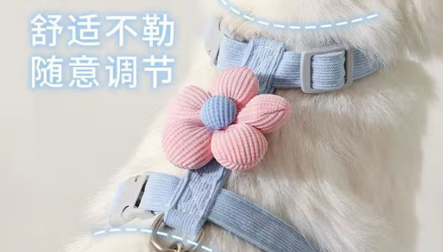 猫咪牵引绳品牌推荐:星舵带猫出街的时尚舒适之选 猫咪牵引绳品牌推荐:星舵带猫出街的时尚舒适之选