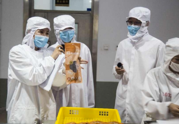 2025年宠物食品趋势前瞻:华福兴多元化战略引领行业创新 2025年宠物食品趋势前瞻:华福兴多元化战略引领行业创新