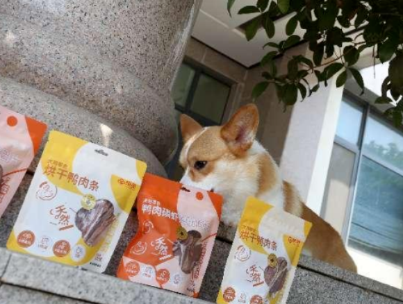 2025年宠物食品趋势前瞻:华福兴多元化战略引领行业创新 2025年宠物食品趋势前瞻:华福兴多元化战略引领行业创新