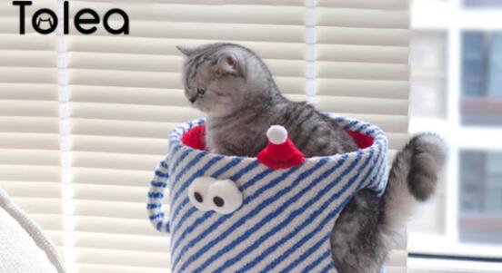 Tolea猫窝怎么清理 Tolea猫窝怎么清理