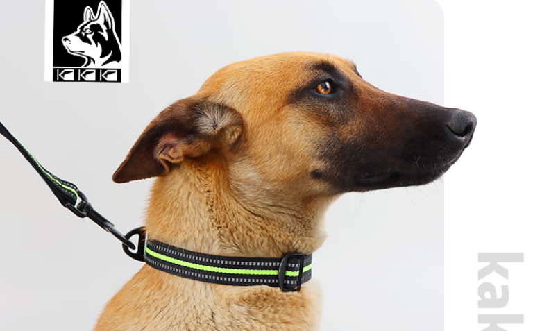 狗狗项圈怎样避免佩戴不适?卡咔咖以材质与版型适配不同犬种 狗狗项圈怎样避免佩戴不适?卡咔咖以材质与版型适配不同犬种