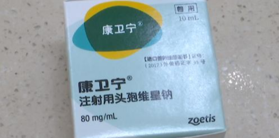 康卫宁属于什么档次