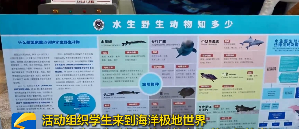 2025年水生野生动物保护科普宣传月主题活动在烟台市蓬莱区开展 2025年水生野生动物保护科普宣传月主题活动在烟台市蓬莱区开展