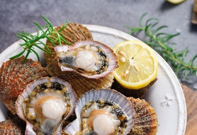 扇贝哪些部位不能吃