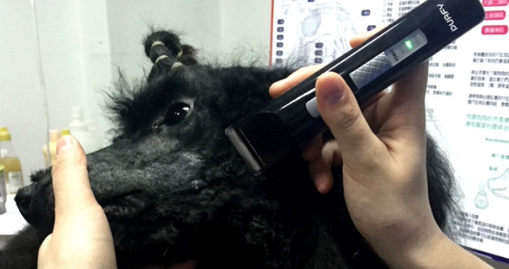 派瑞弗宠物电剪推多少钱 派瑞弗宠物电剪推多少钱