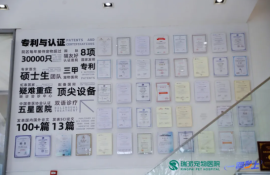 瑞派站精彩收官！一路向上·宠物行业创新增长溯源研学（瑞派站）深度游学之旅完美谢幕！