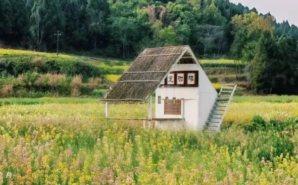 乡村遇上“毛孩子”:宠物经济正在成为乡村振兴新引擎 乡村遇上“毛孩子”:宠物经济正在成为乡村振兴新引擎