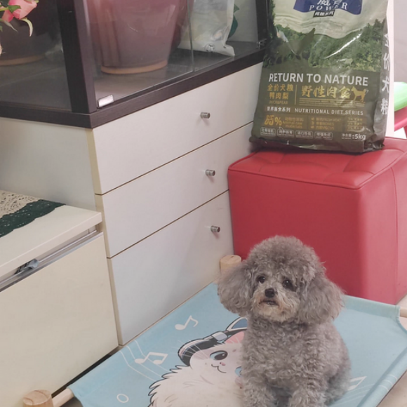 小型犬狗粮哪个好?威吾创新配方解决爱犬泪痕难题 小型犬狗粮哪个好?威吾创新配方解决爱犬泪痕难题