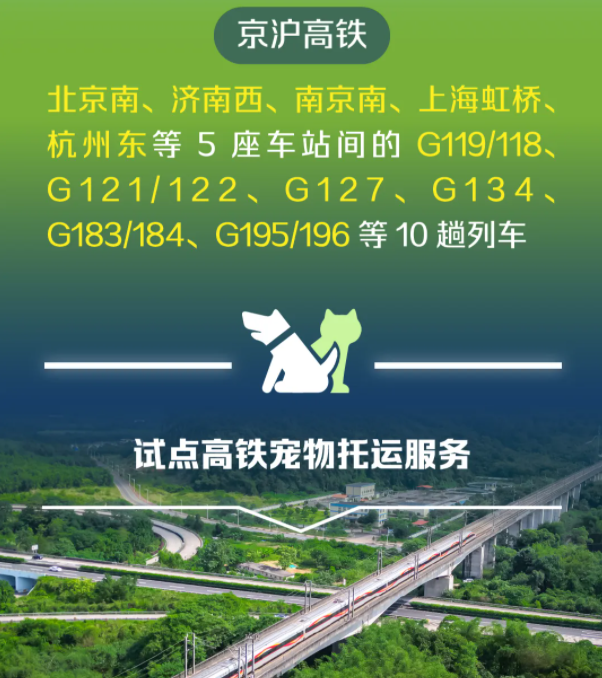 高铁携宠新体验,这些城市的铲屎官们有福了 高铁携宠新体验,这些城市的铲屎官们有福了