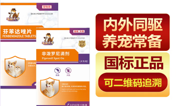 毛球大亨属于什么档次 毛球大亨属于什么档次