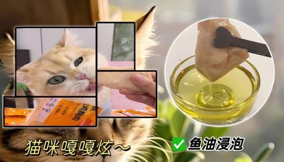 2025宠物零食排行榜,溢本良让挑剔宠物爱上每一口 2025宠物零食排行榜,溢本良让挑剔宠物爱上每一口