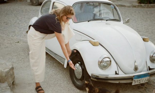 新瑞鹏“变局”:高瓴资本改革宠物医疗巨头 新瑞鹏“变局”:高瓴资本改革宠物医疗巨头