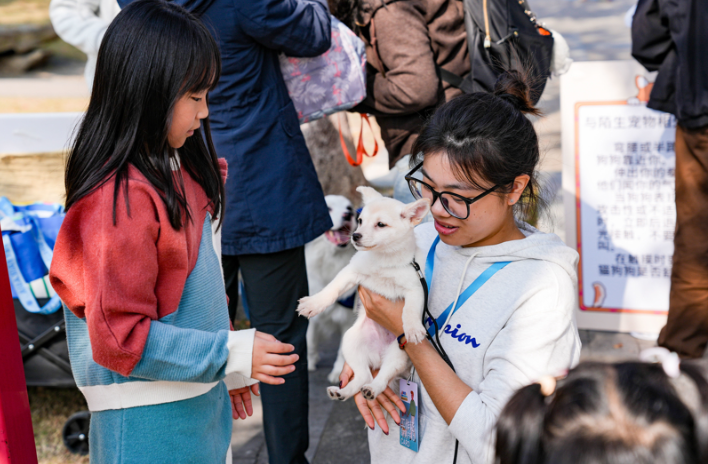 这场宠物嘉年华，为“人宠友好”打了个样