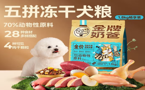 金牌奶爸