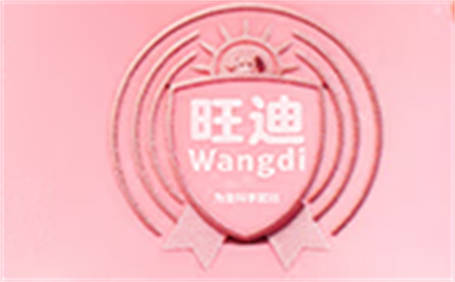 旺迪