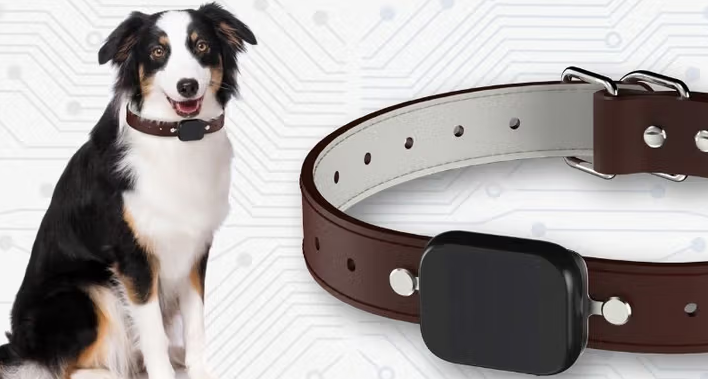 MAKE1宠物定位器能定位多远